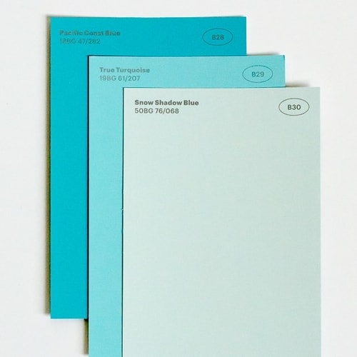 The Front of the Paint Chip