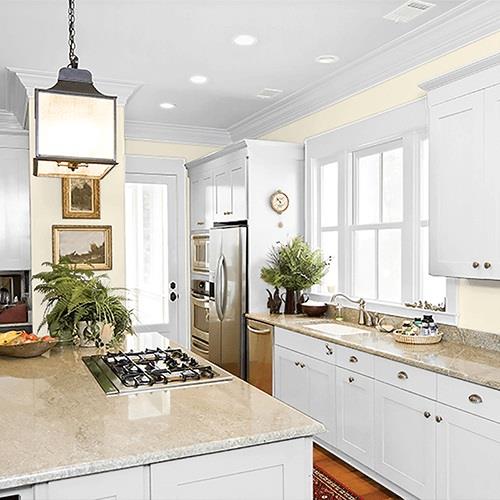 Creamy White PPG1105-1