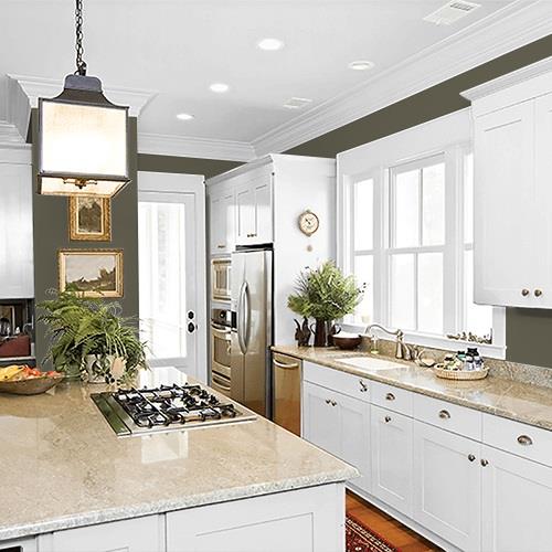 Moss Rock PPG1032-7