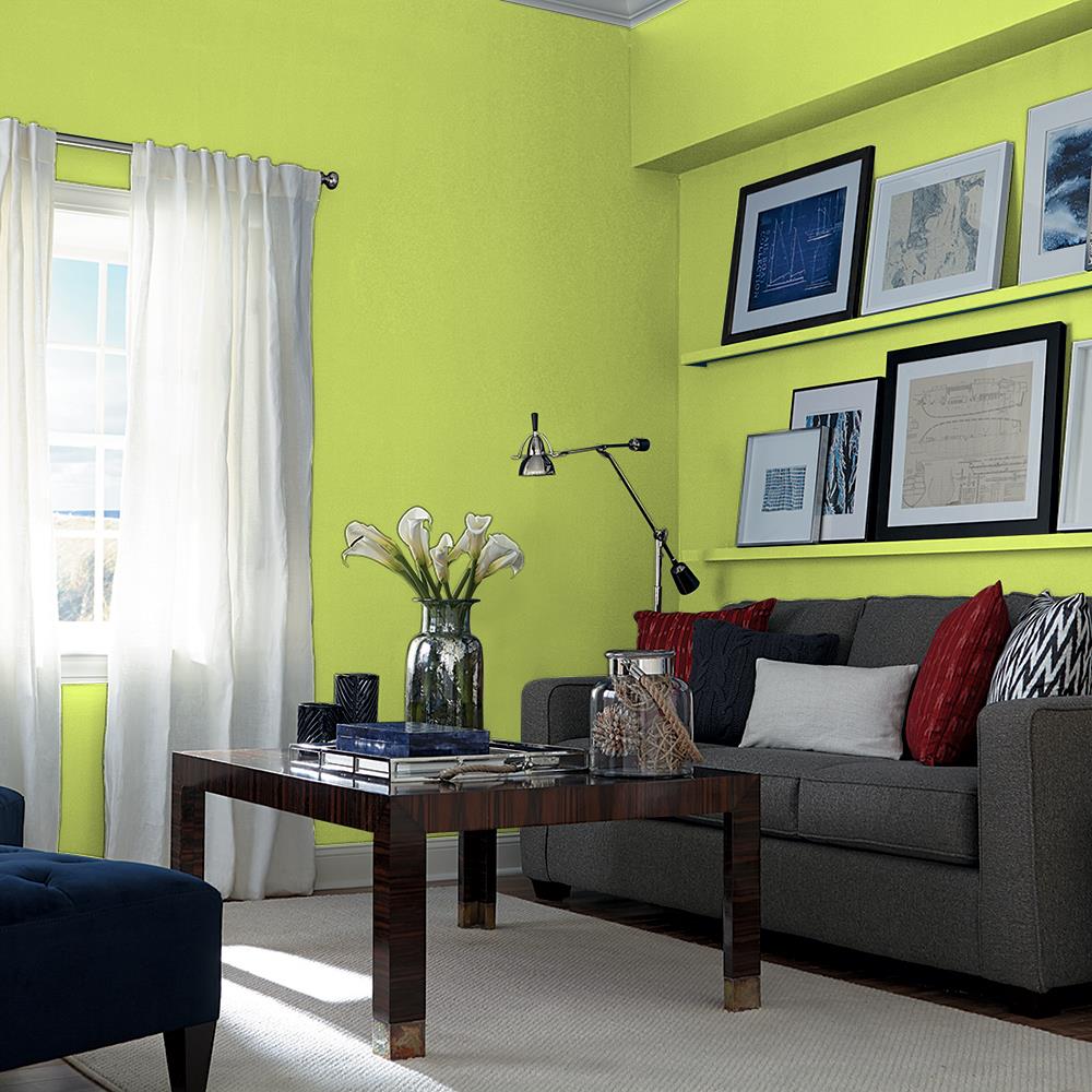 Boogie Blast PPG1219-5