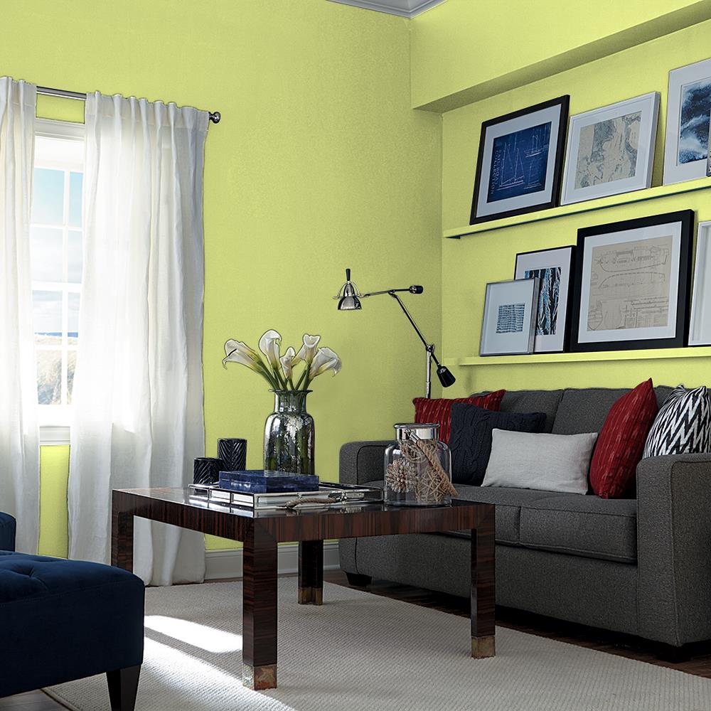 Green Gecko PPG1217-6