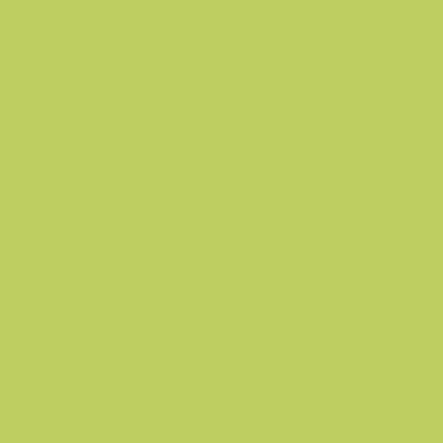 Boogie Blast PPG1219-5