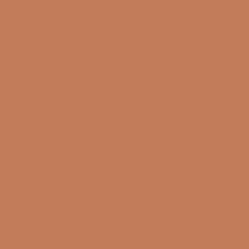 Brown Clay PPG1199-6