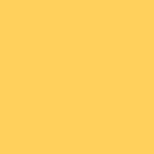 Fuzzy Navel PPG1206-6