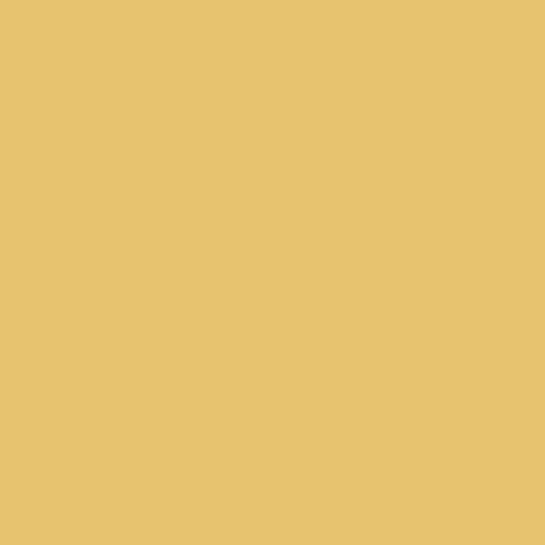 Sun Salutation PPG12-03